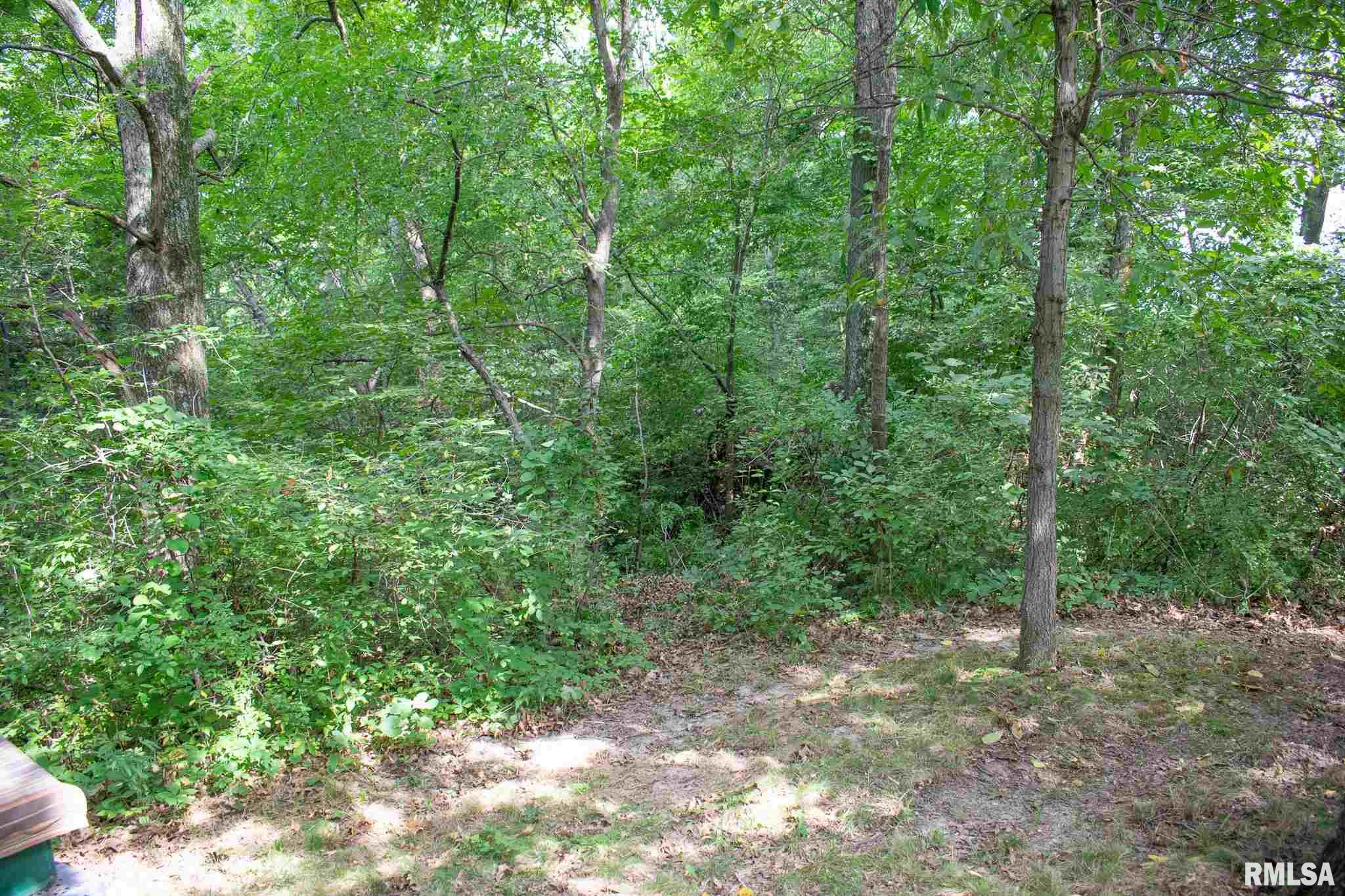23110 North Shepard Road Chillicothe, IL 61523 - Photo 45 of 47 Gallery Image 45