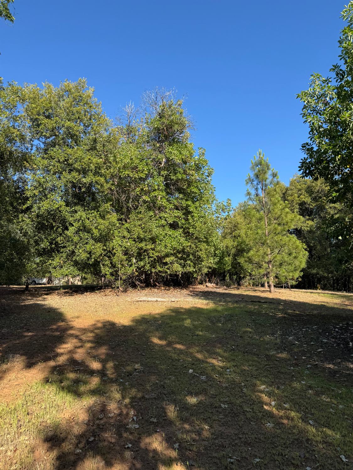 14577 Andrews Road Pine Grove, CA 95665 - Photo 6 of 37 a view of a green yard