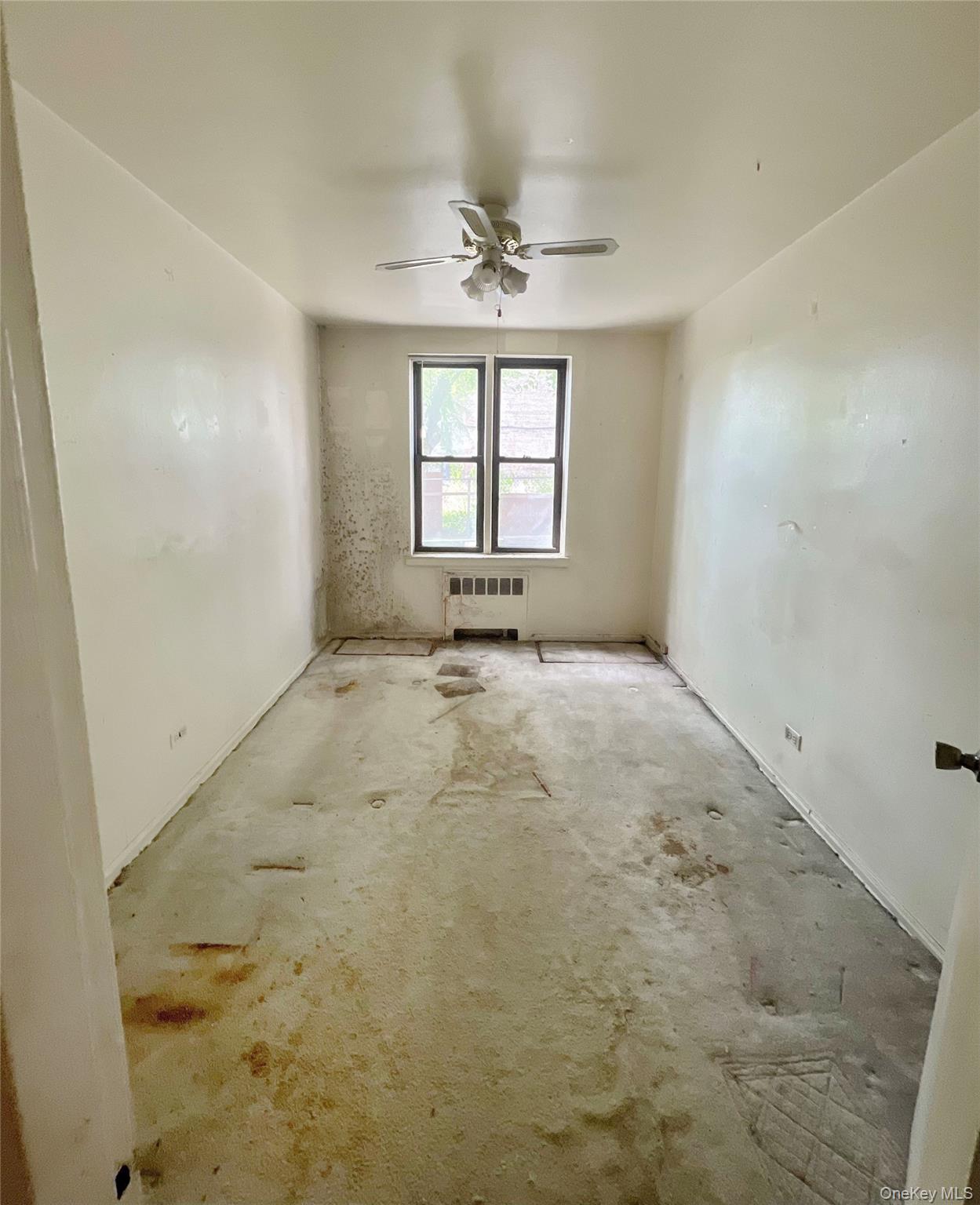 745 East 231st Street, Unit 1F Bronx, NY 10466 - Photo 6 of 15