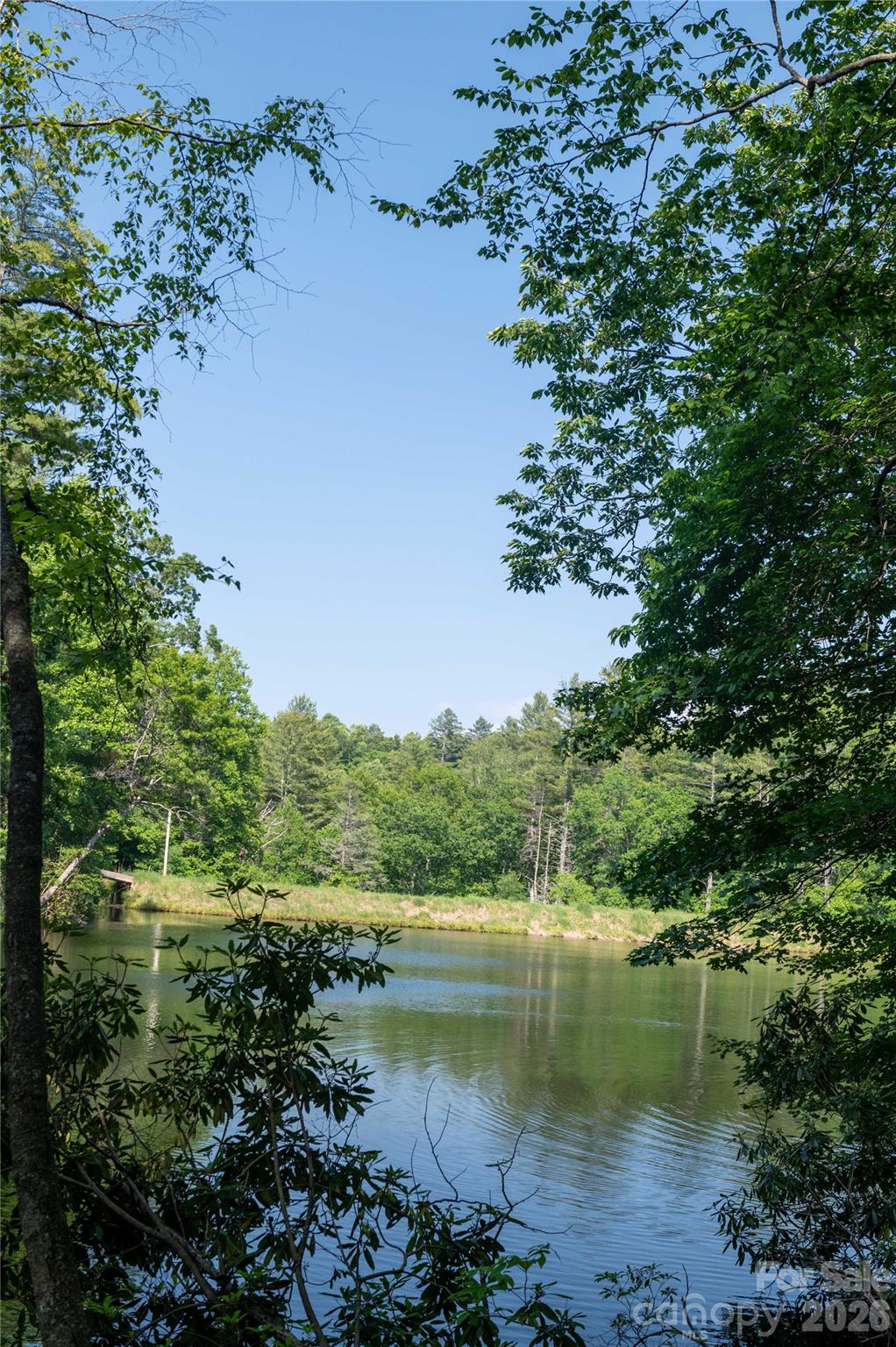 0 Deer Park Lake Road Spruce Pine, NC 28777 - Photo 21 of 24 a view of lake