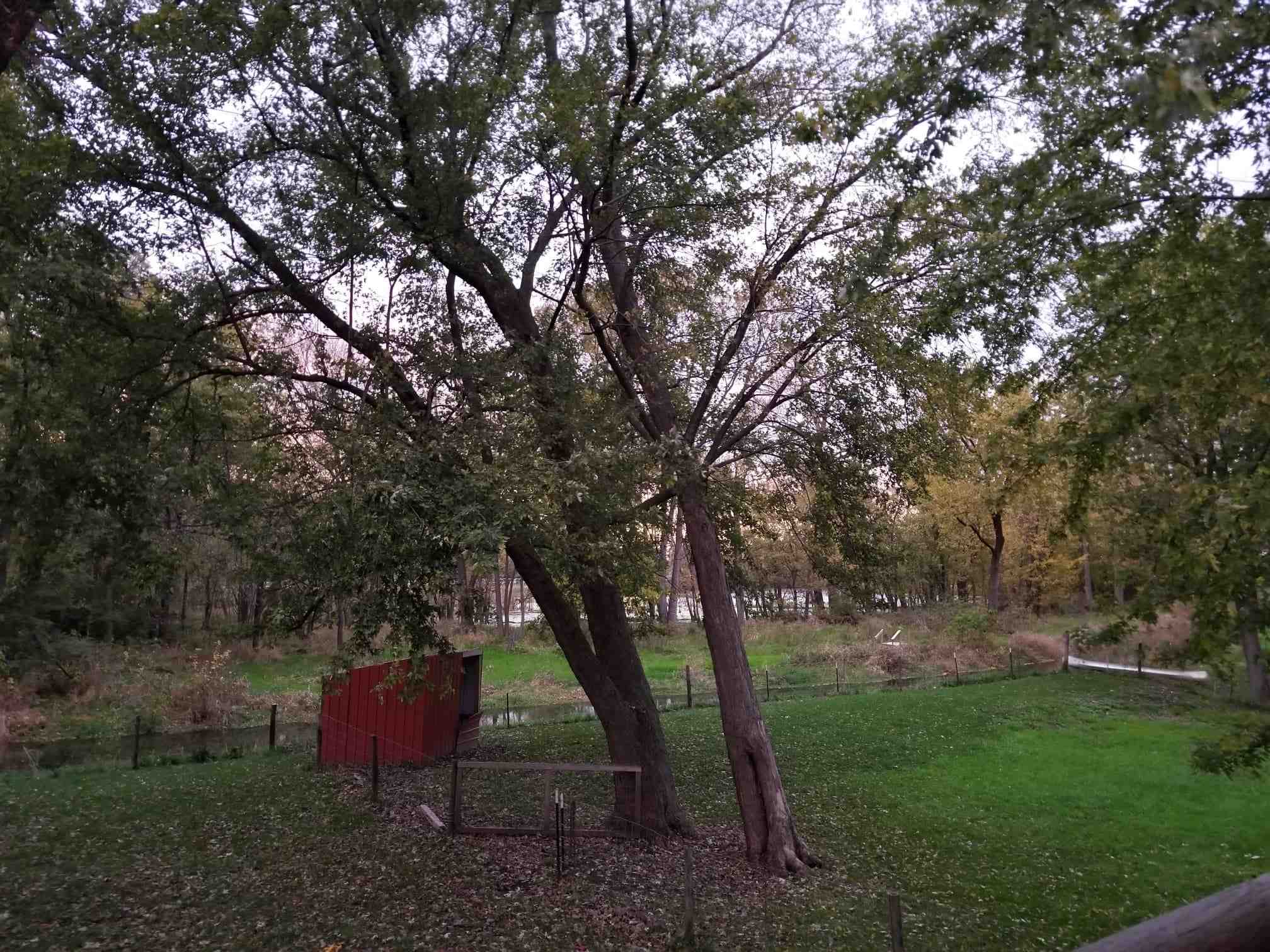 17041 Ebson Road Fulton, IL 61252 - Photo 16 of 20