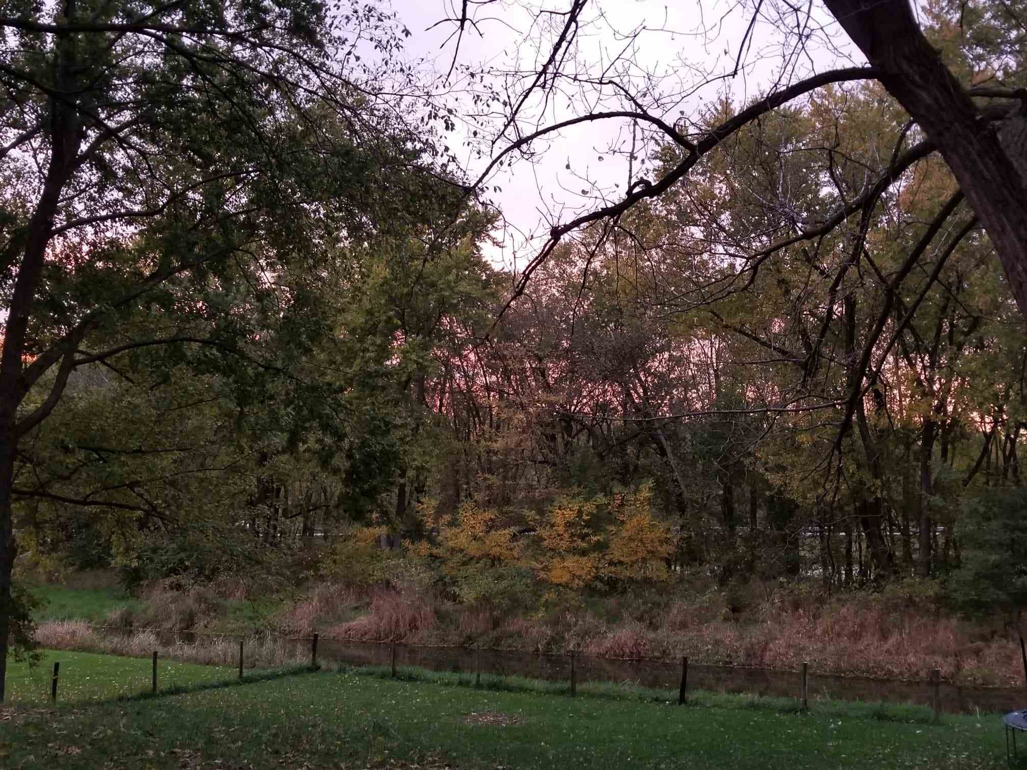17041 Ebson Road Fulton, IL 61252 - Photo 17 of 20