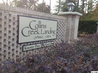 75 Knotty Pine Way Murrells Inlet, SC 29576 - Photo 1 of 6 Gallery Image 1