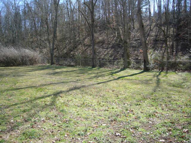 311 Whitley Hollow Road Red Boiling Springs, TN 37150 - Photo 3 of 16