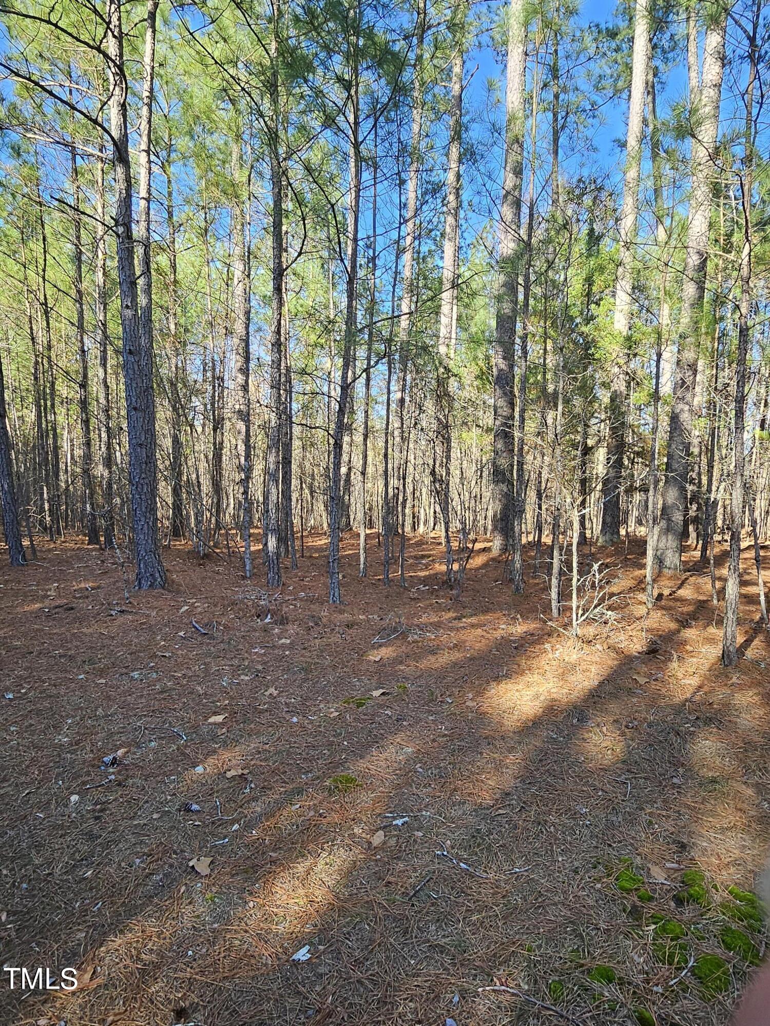 0 Hogan Farm Road Apex, NC 27523 - Photo 11 of 29 20240310_170514