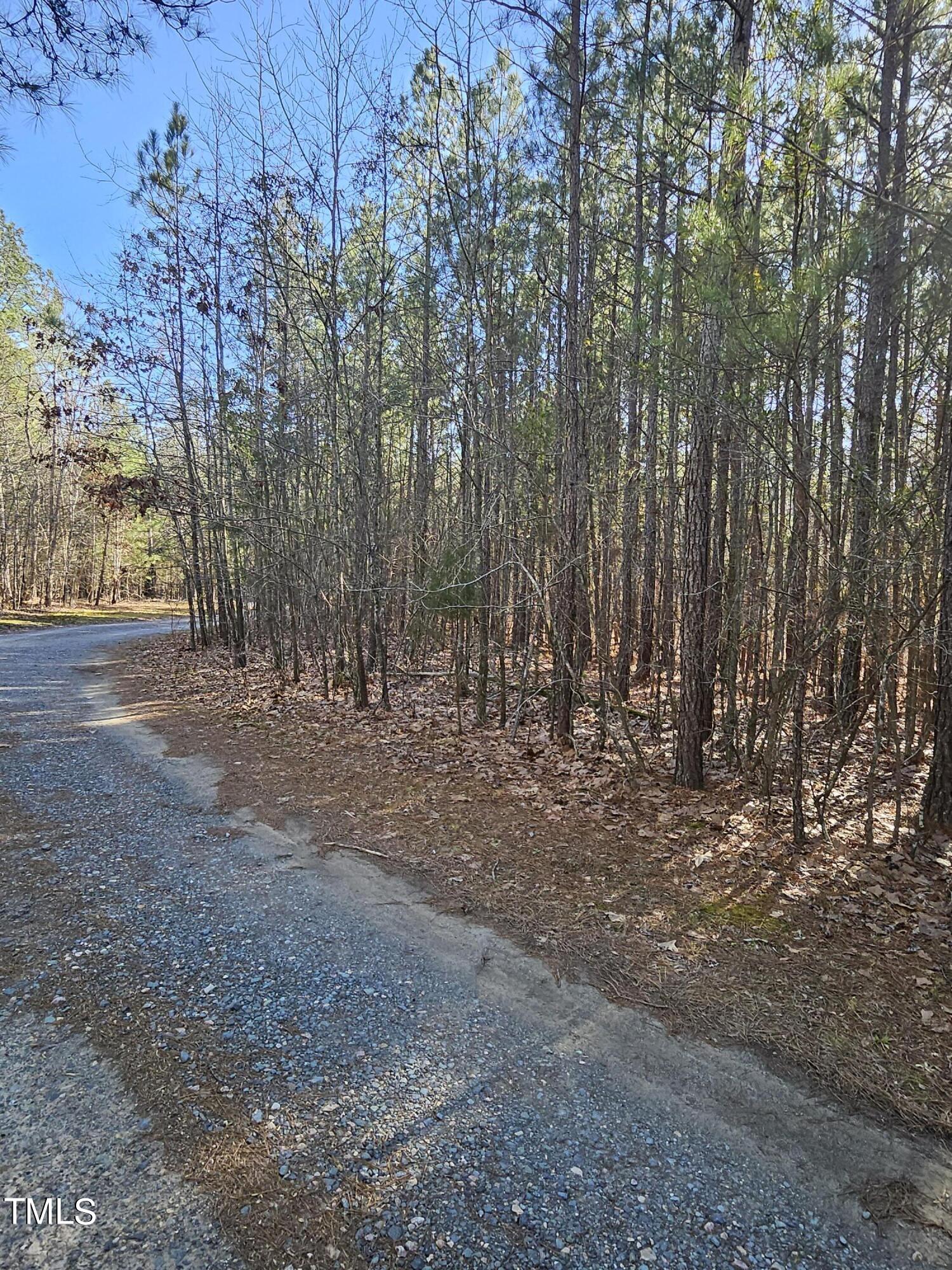 0 Hogan Farm Road Apex, NC 27523 - Photo 12 of 29 20240310_170523
