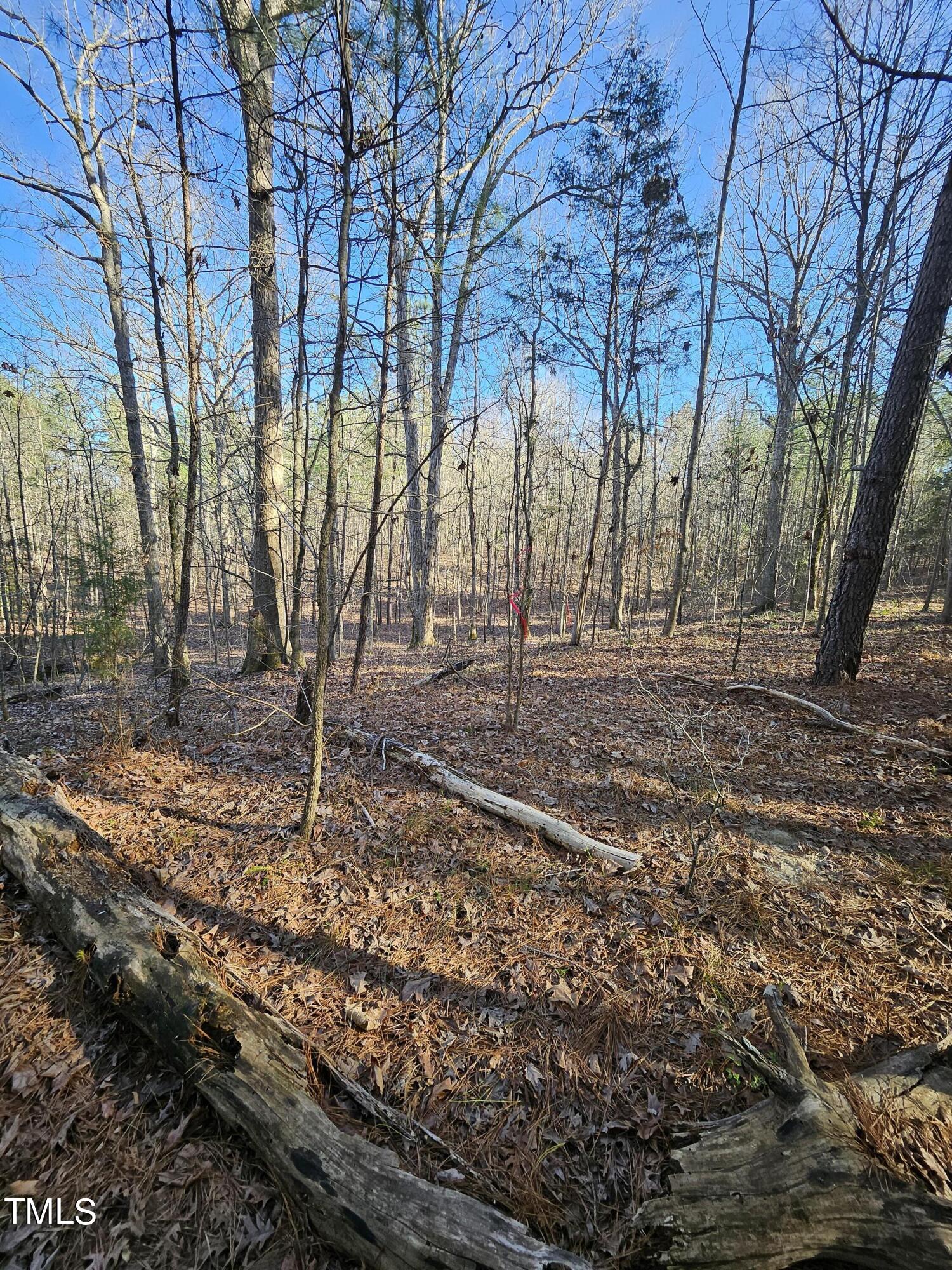 0 Hogan Farm Road Apex, NC 27523 - Photo 13 of 29 20240310_170853