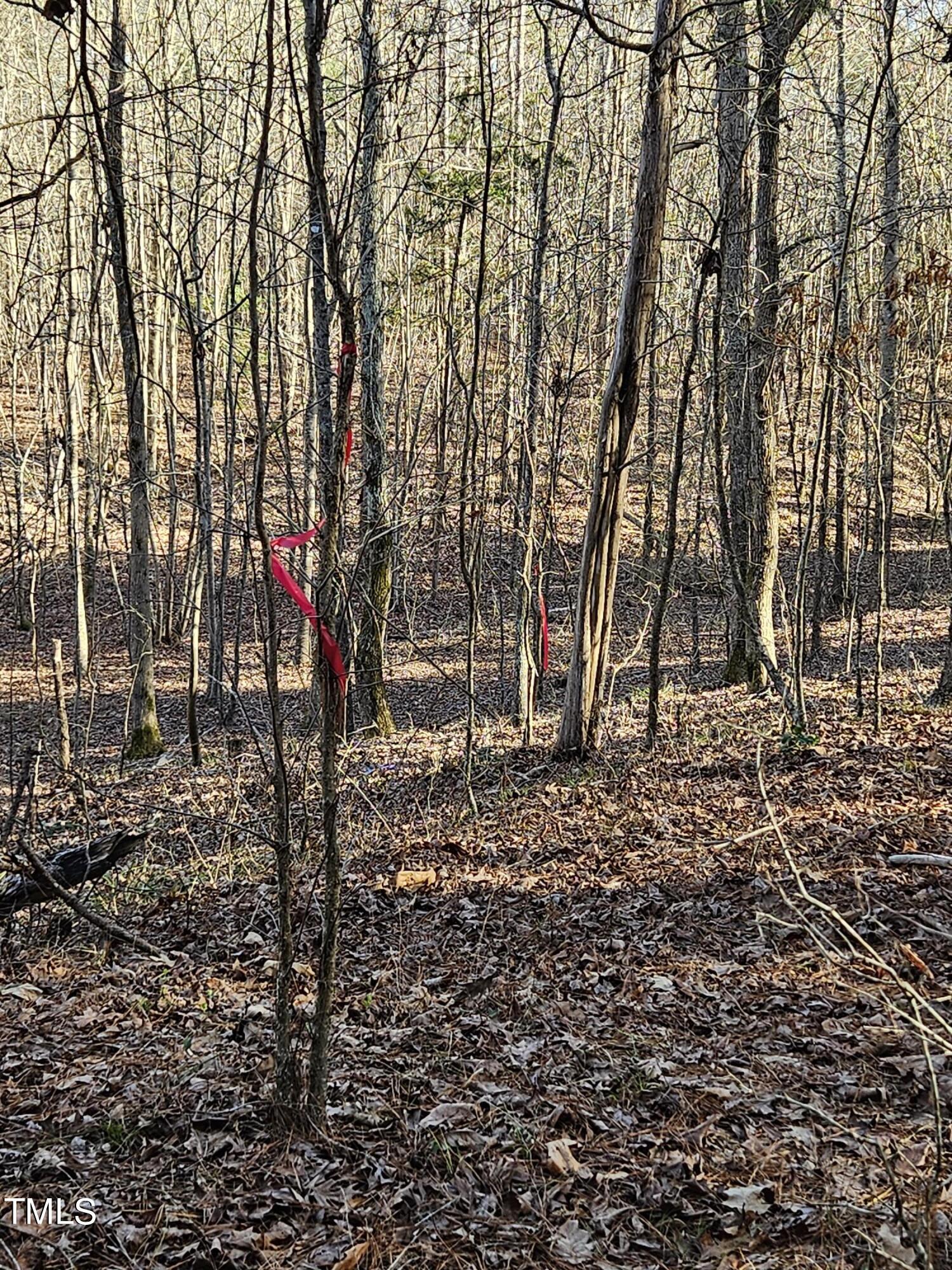 0 Hogan Farm Road Apex, NC 27523 - Photo 15 of 29 20240310_170905