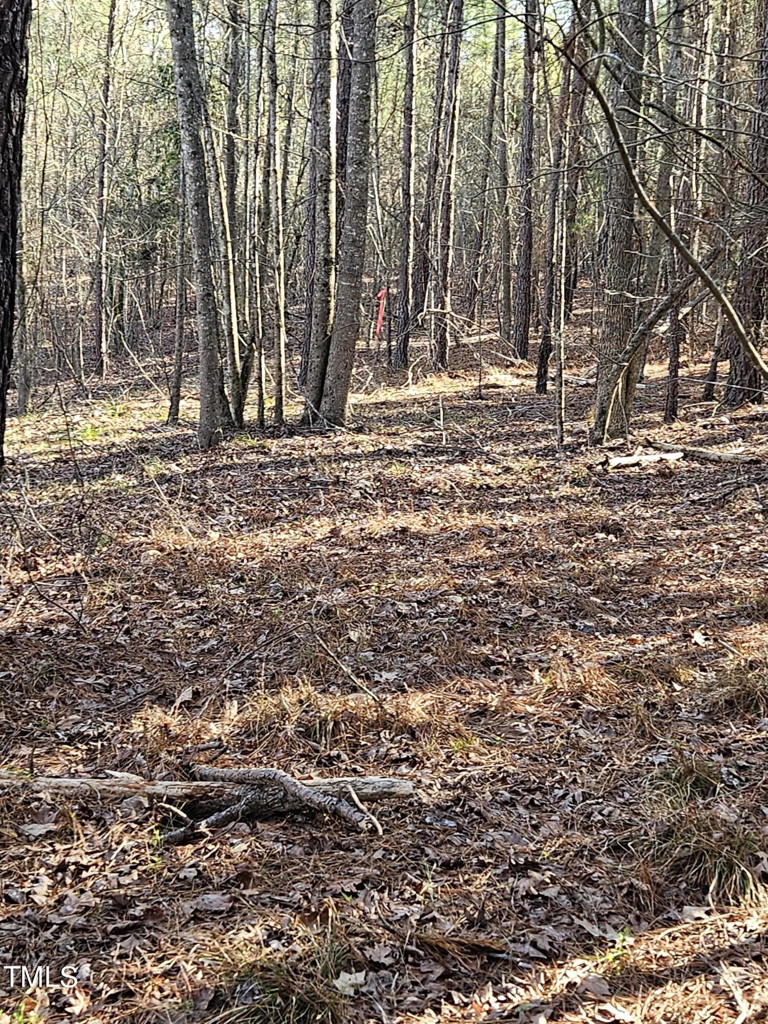 0 Hogan Farm Road Apex, NC 27523 - Photo 16 of 29 20240310_170912