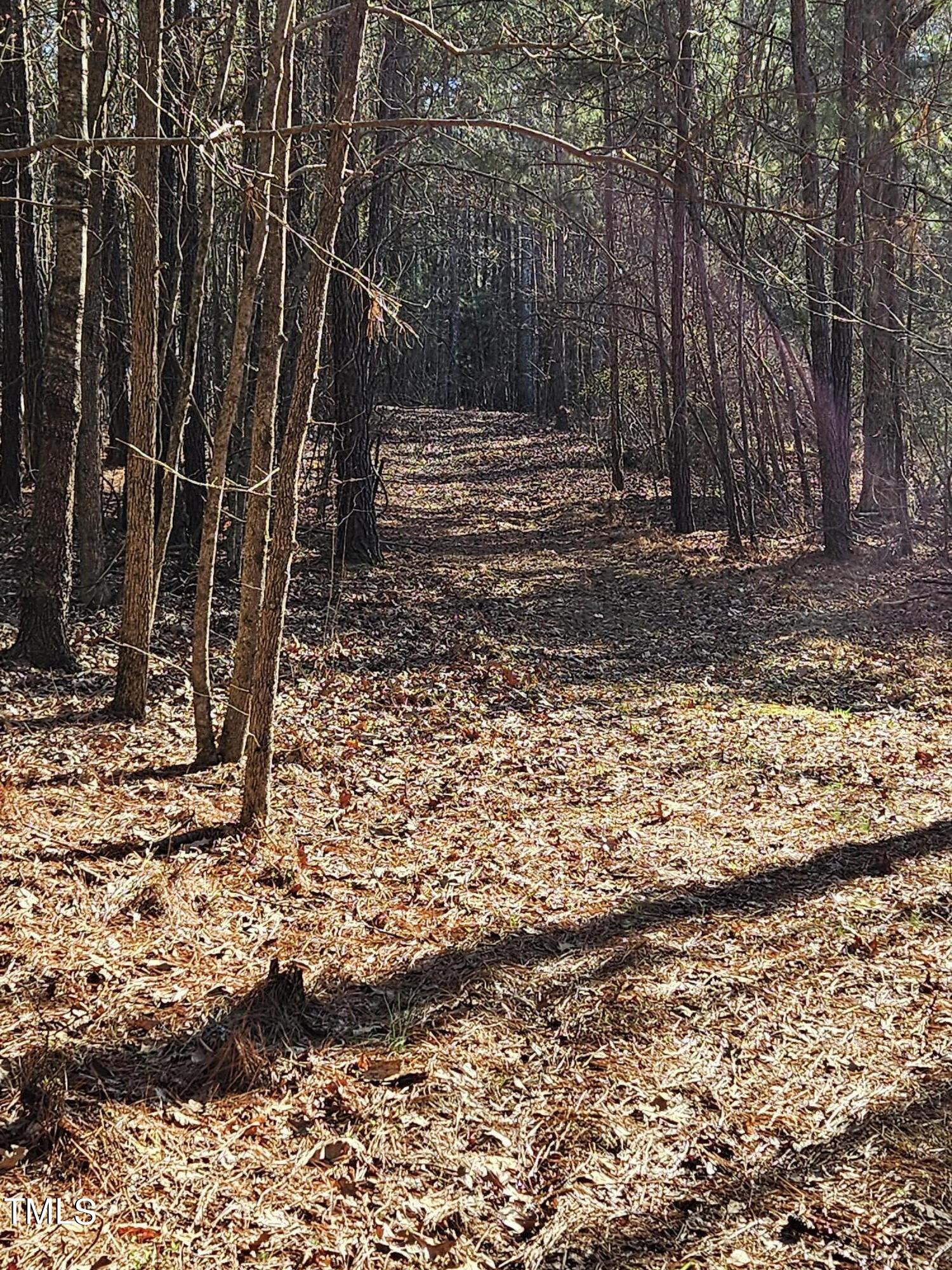 0 Hogan Farm Road Apex, NC 27523 - Photo 29 of 29 20240310_171036