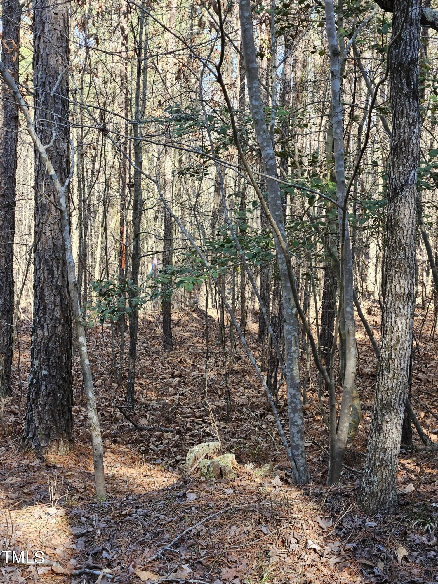 0 Hogan Farm Road Apex, NC 27523 - Photo 4 of 29 20240310_165838