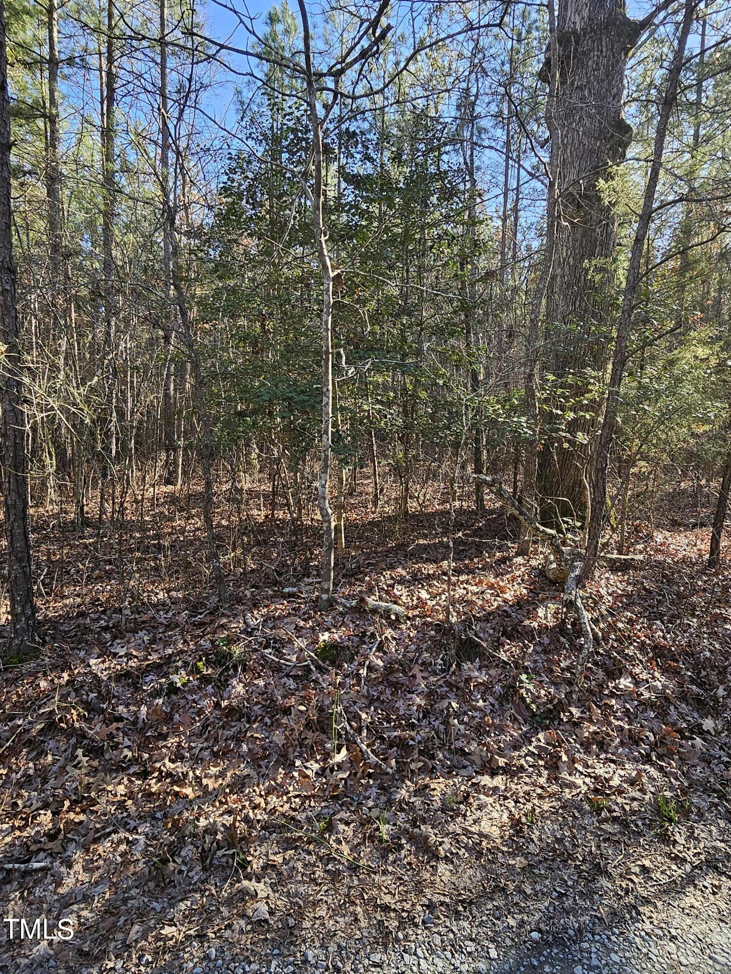 0 Hogan Farm Road Apex, NC 27523 - Photo 9 of 29 20240310_170336