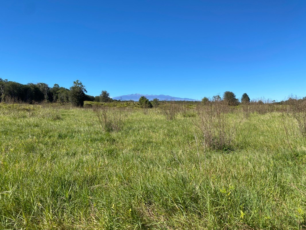 21 North A N Peck Road Mountain View, HI 96771 - Photo 2 of 7 a view of an ocean