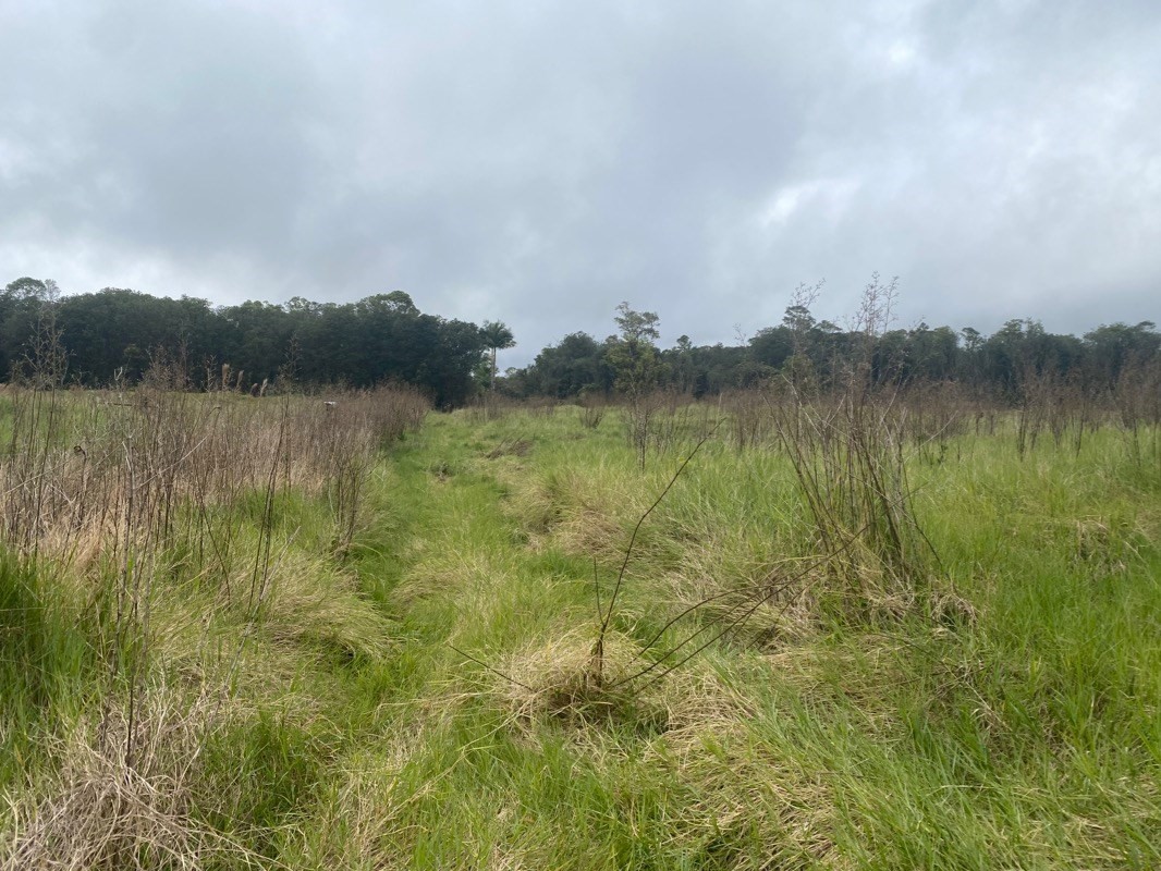 21 North A N Peck Road Mountain View, HI 96771 - Photo 5 of 7 a view of lake