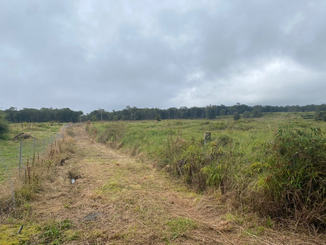 21 North A N Peck Road Mountain View, HI 96771 - Photo 7 of 7 a view of a lake with houses in the back