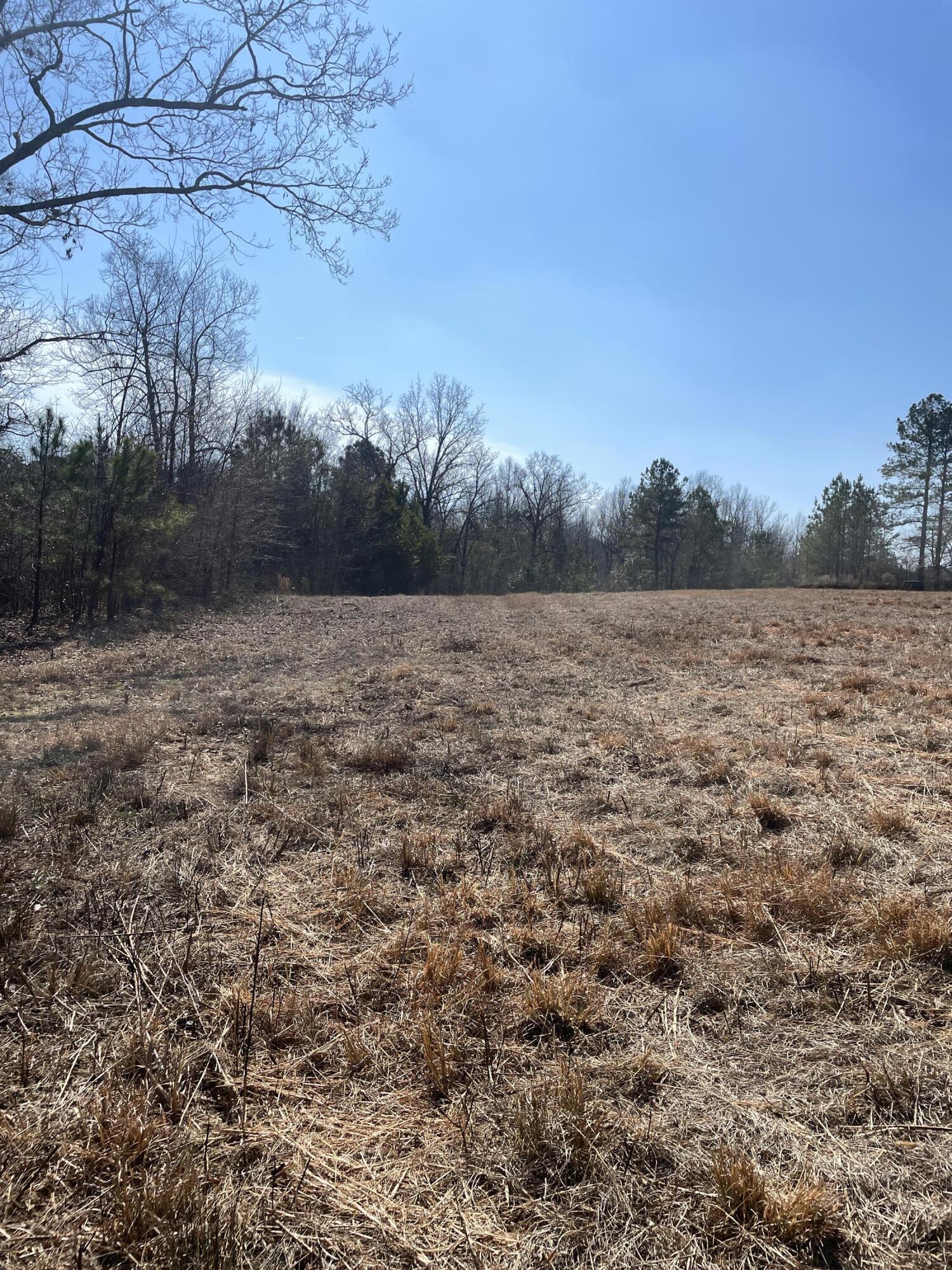 173 Wilderness Road Aiken, SC 29805 - Photo 39 of 50