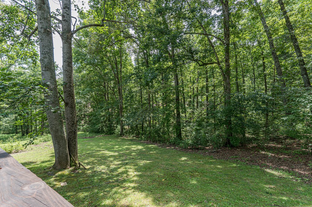 250 Taylor Hensen Road Murphy, NC 28906 - Photo 30 of 39 Gallery Image 30