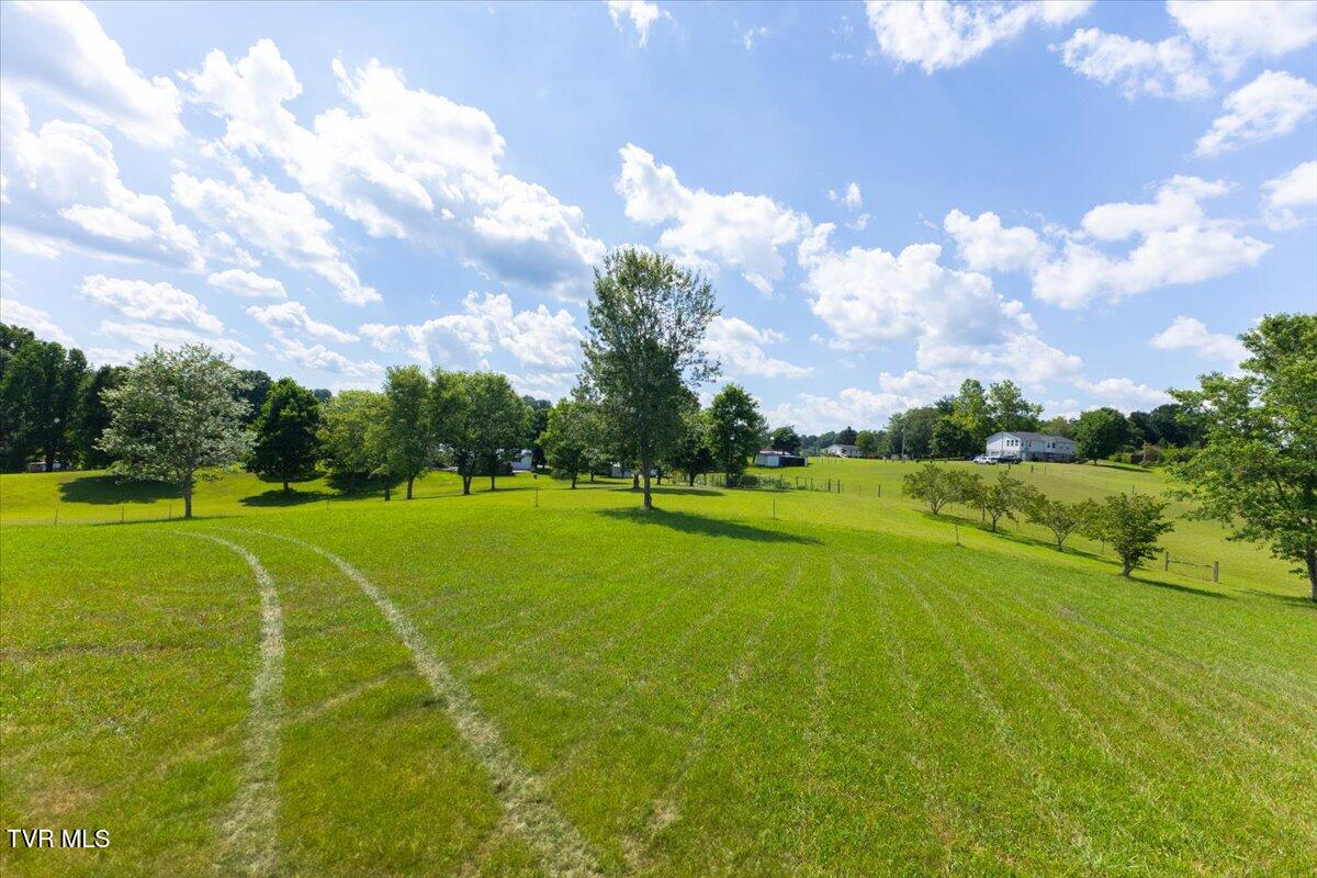 655 Old Snapps Ferry Road Chuckey, TN 37641 - Photo 11 of 21 06-128A9743