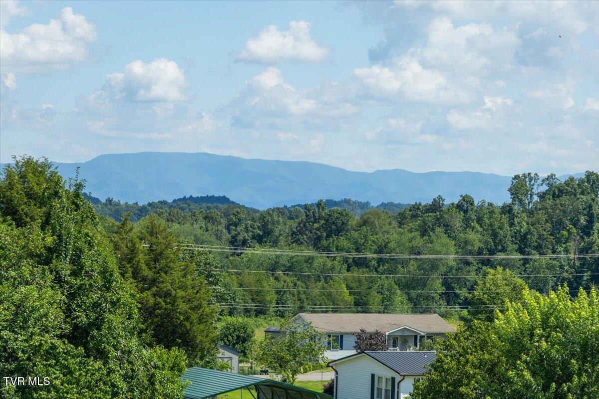 655 Old Snapps Ferry Road Chuckey, TN 37641 - Photo 12 of 21 07-128A9744