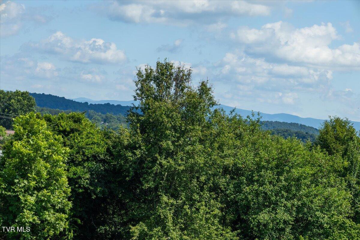 655 Old Snapps Ferry Road Chuckey, TN 37641 - Photo 13 of 21 08-128A9745