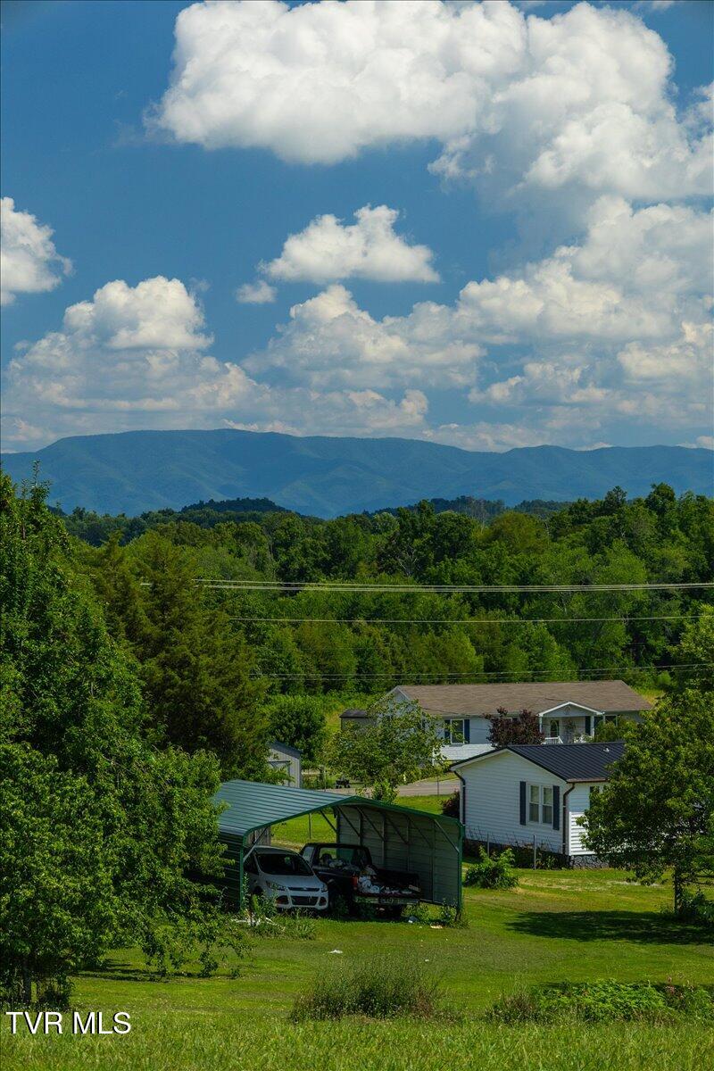 655 Old Snapps Ferry Road Chuckey, TN 37641 - Photo 14 of 21 09-128A9746