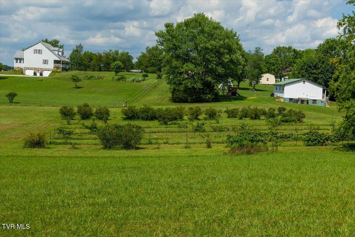 655 Old Snapps Ferry Road Chuckey, TN 37641 - Photo 16 of 21 11-128A9748