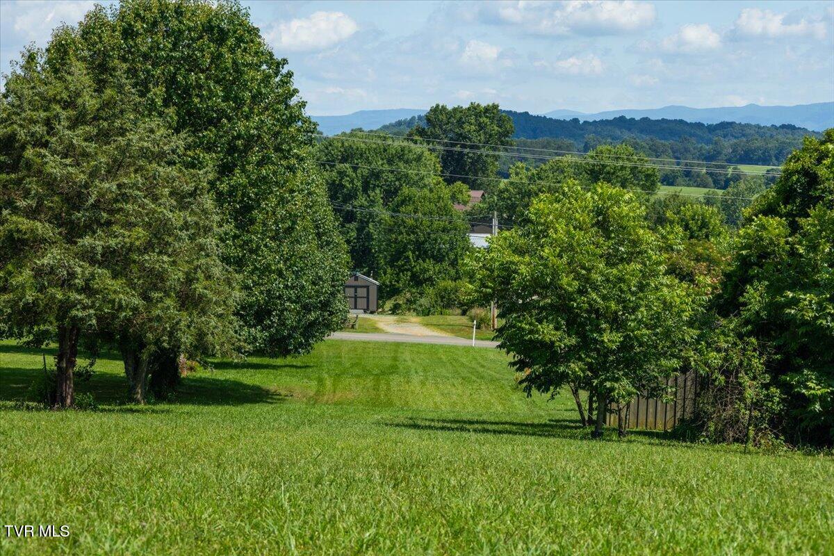 655 Old Snapps Ferry Road Chuckey, TN 37641 - Photo 17 of 21 12-128A9749