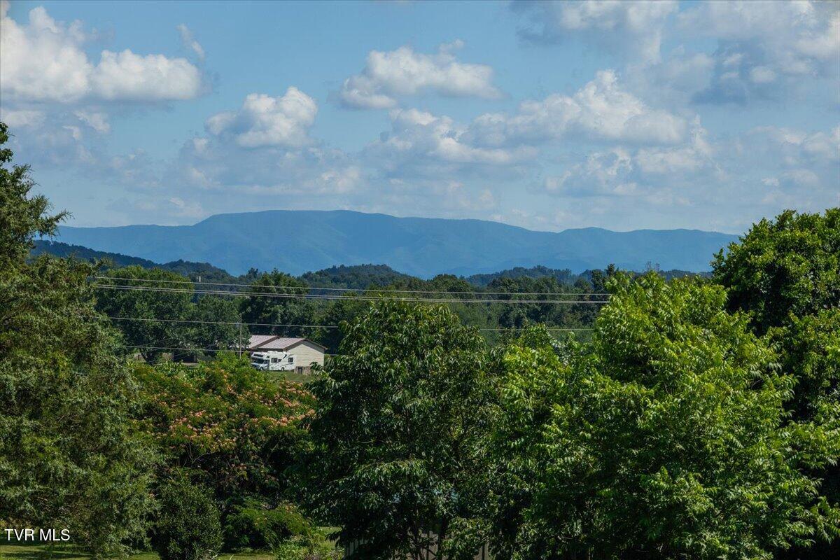 655 Old Snapps Ferry Road Chuckey, TN 37641 - Photo 18 of 21 13-128A9750