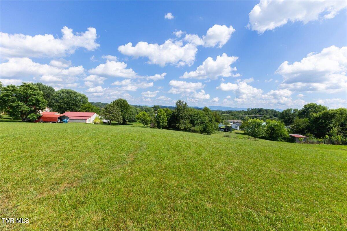 655 Old Snapps Ferry Road Chuckey, TN 37641 - Photo 9 of 21 04-128A9741