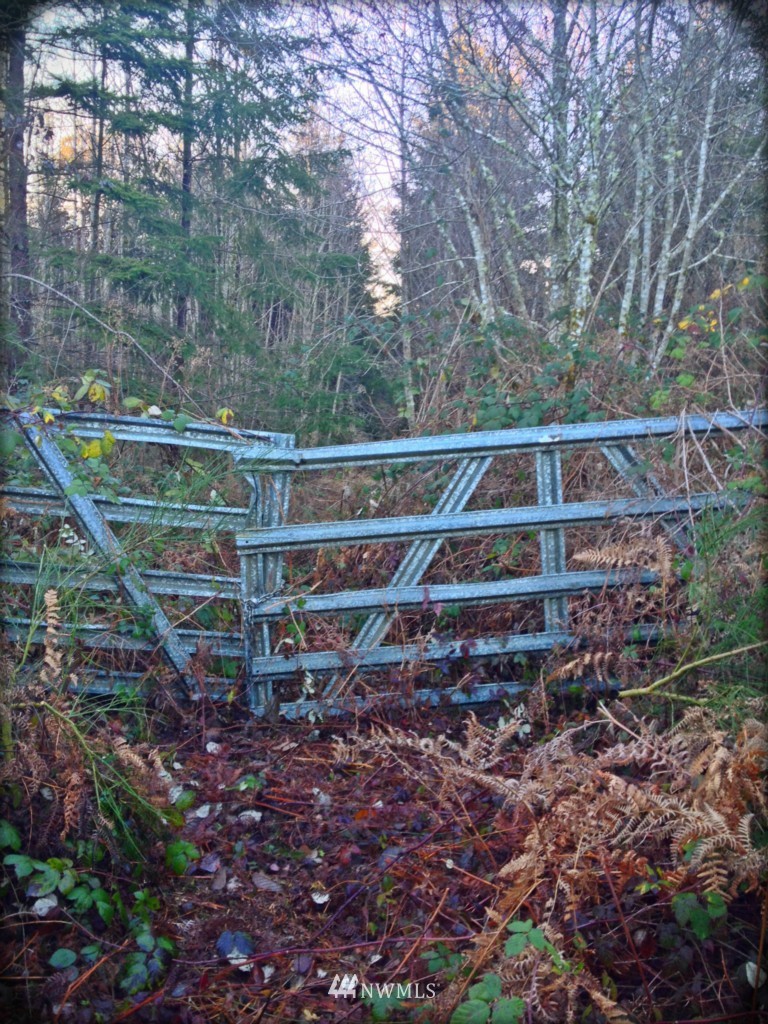 -xx Johnson Point Road Northeast Olympia, WA 98516 - Photo 1 of 4 Gallery Image 1
