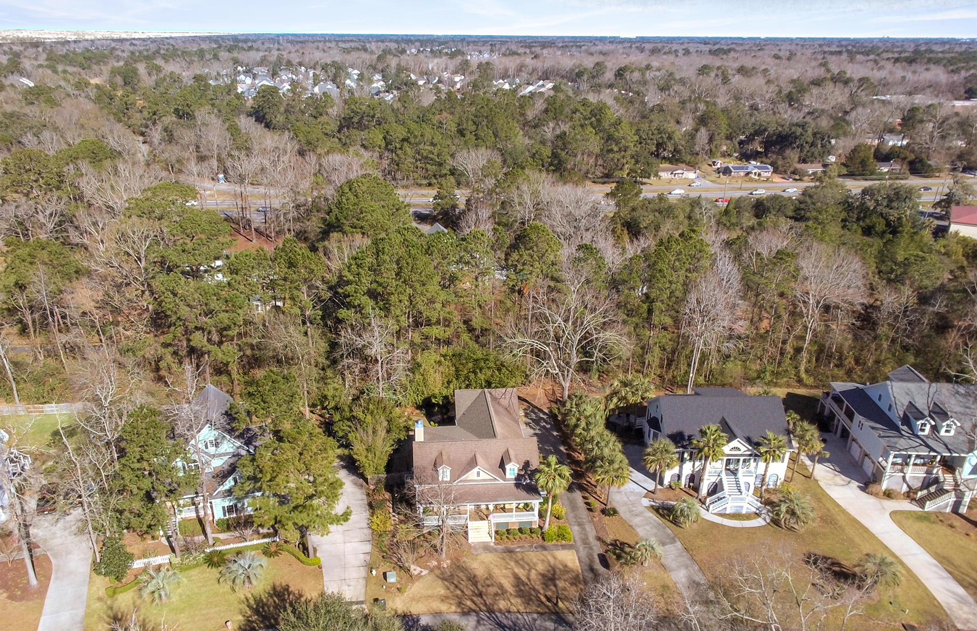 2080 Rookery Lane Charleston, SC 29414 - Photo 49 of 57 49