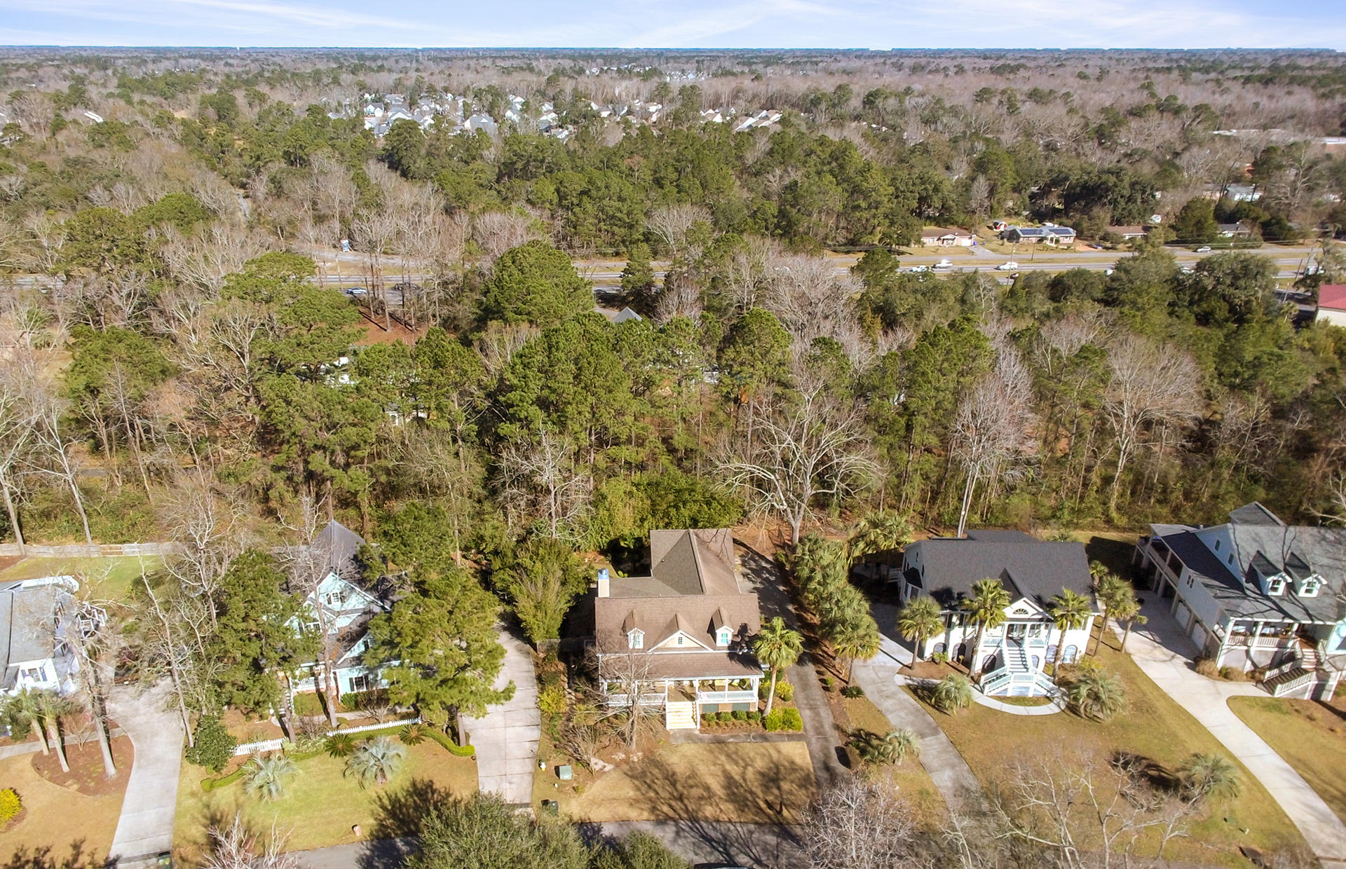 2080 Rookery Lane Charleston, SC 29414 - Photo 54 of 57 48