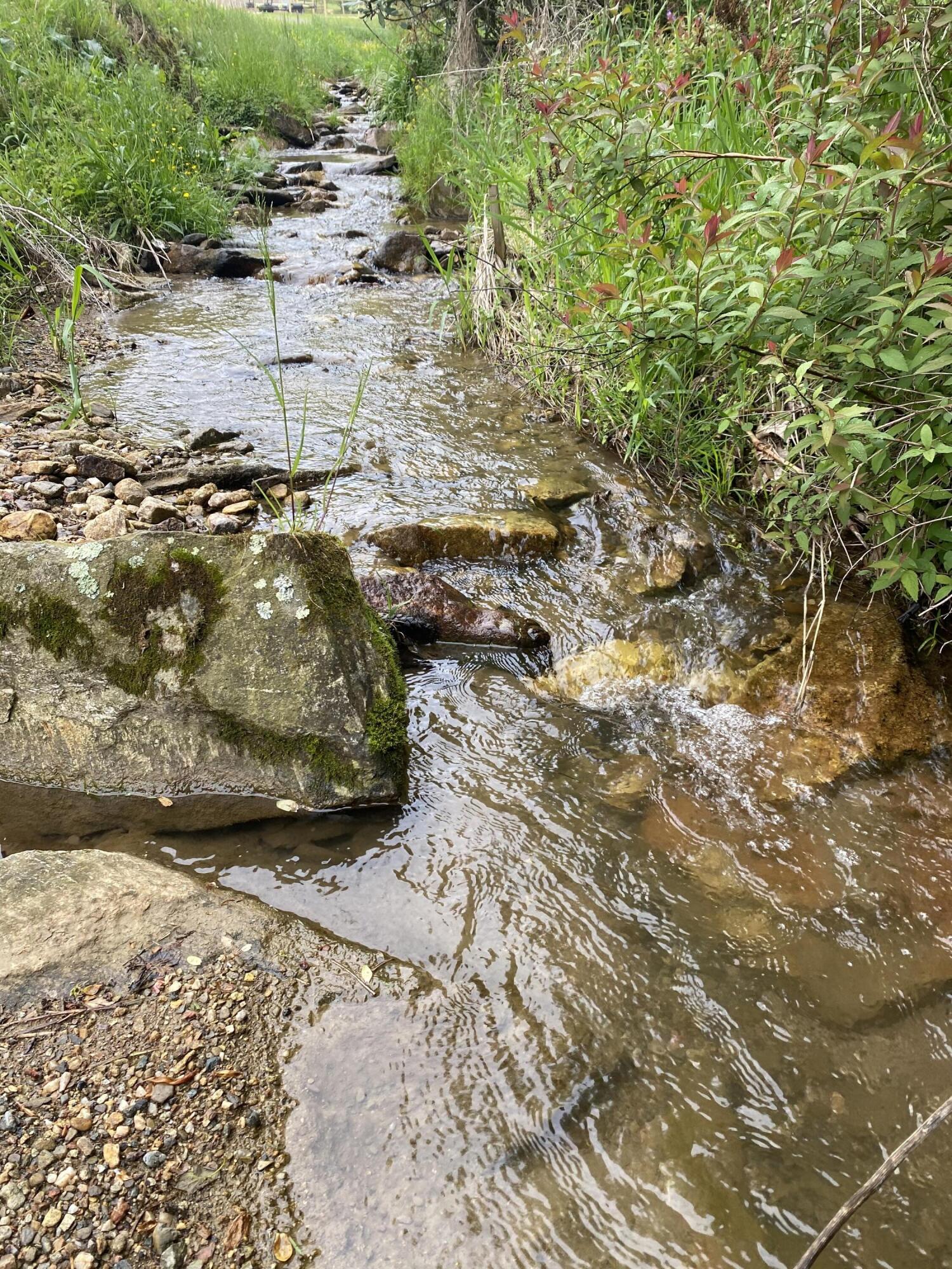 280 Fall Branch Road Mountain City, TN 37683 - Photo 1 of 13 Photo May 14, 3 06 23 PM