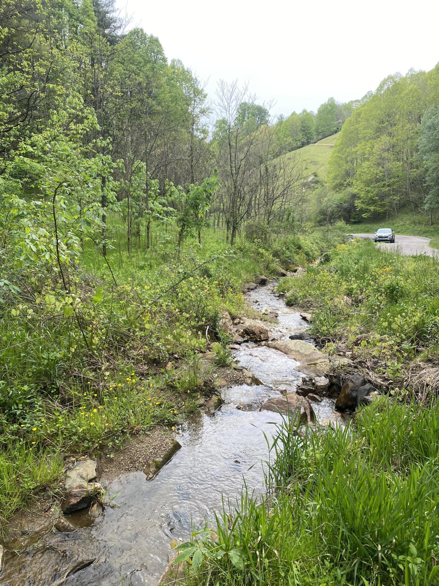 280 Fall Branch Road Mountain City, TN 37683 - Photo 11 of 13 Photo May 14, 3 16 58 PM