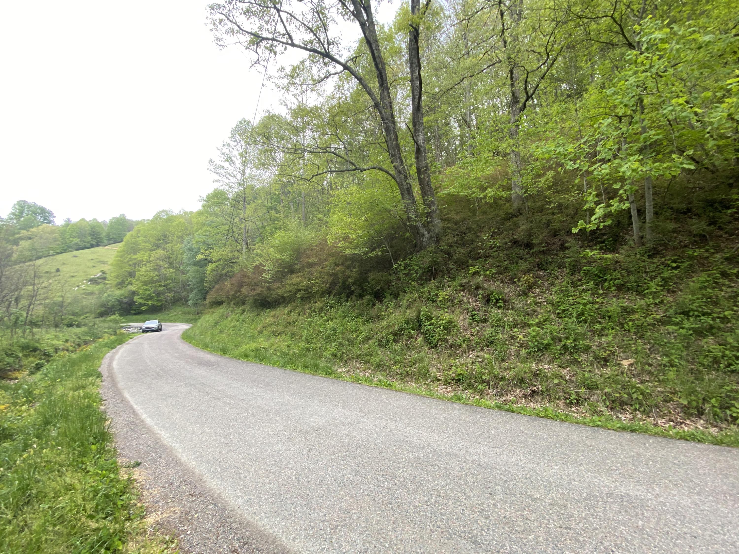 280 Fall Branch Road Mountain City, TN 37683 - Photo 12 of 13 Photo May 14, 3 17 09 PM
