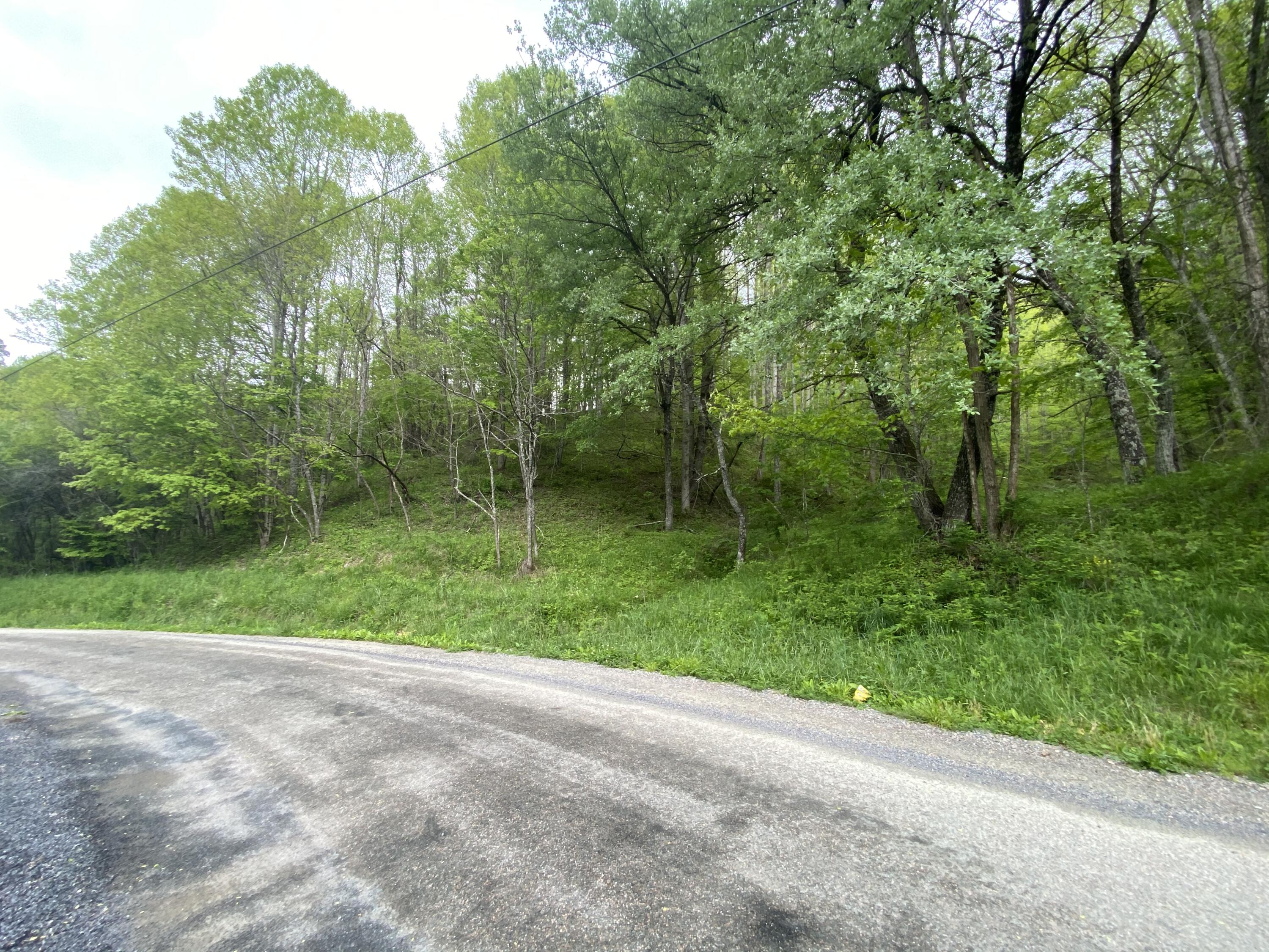 280 Fall Branch Road Mountain City, TN 37683 - Photo 4 of 13 Photo May 14, 3 10 55 PM