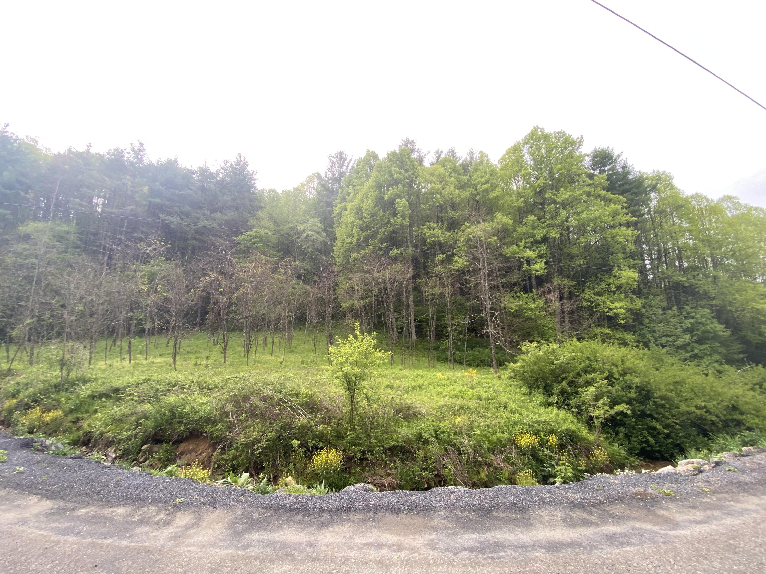 280 Fall Branch Road Mountain City, TN 37683 - Photo 6 of 13 Photo May 14, 3 11 13 PM