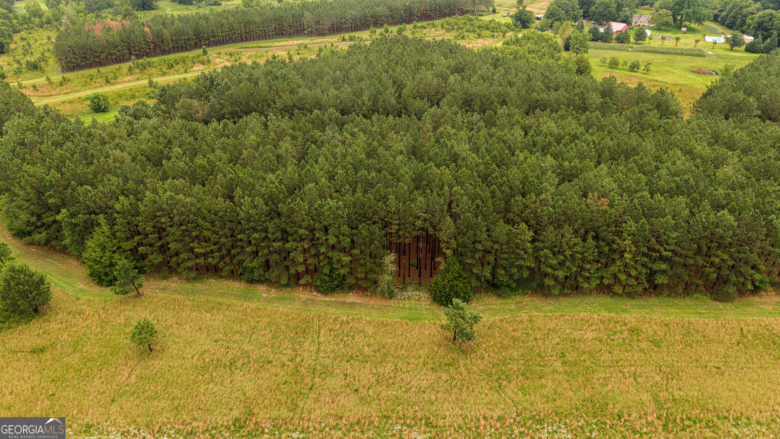 990 Highway 49 Americus, GA 31719 - Photo 114 of 121