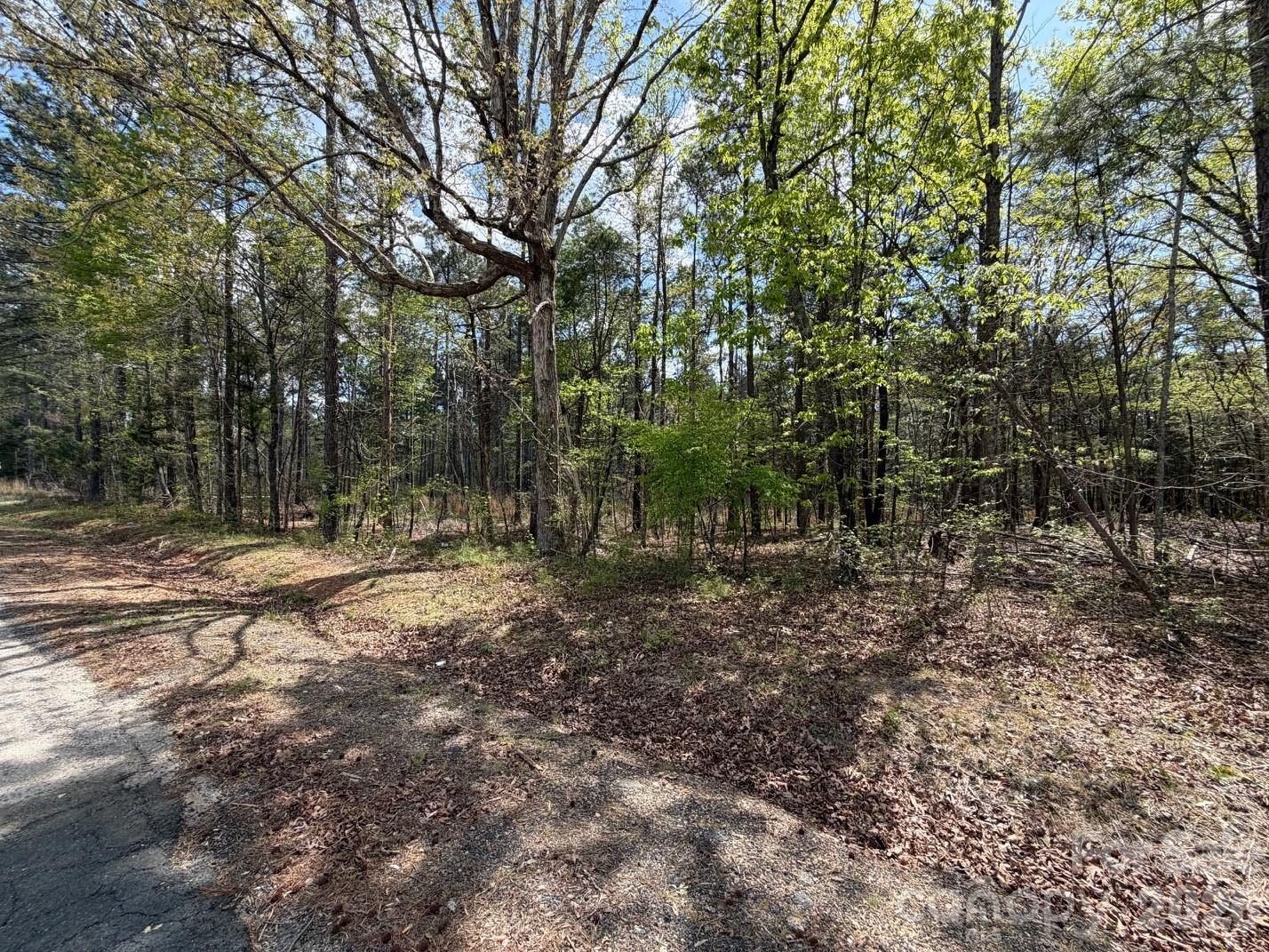 0 Bethlehem Road Blackstock, SC 29014 - Photo 4 of 5 Gallery Image 4