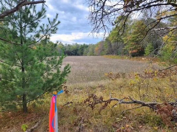 $52,900 | Parcel J Parcel J Tatanka Trail, Baldwin, MI 49304
