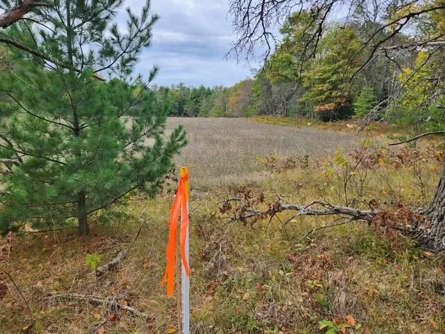 $52,900 | Parcel J Parcel J Tatanka Trail, Baldwin, MI 49304