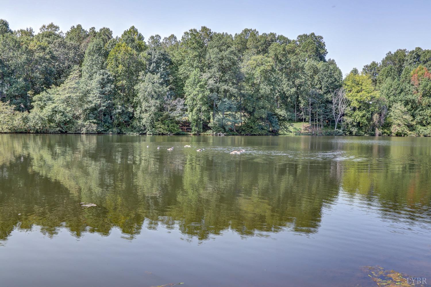 463 Oak Point Road Forest, VA 24551 - Photo 16 of 62 Gallery Image 16