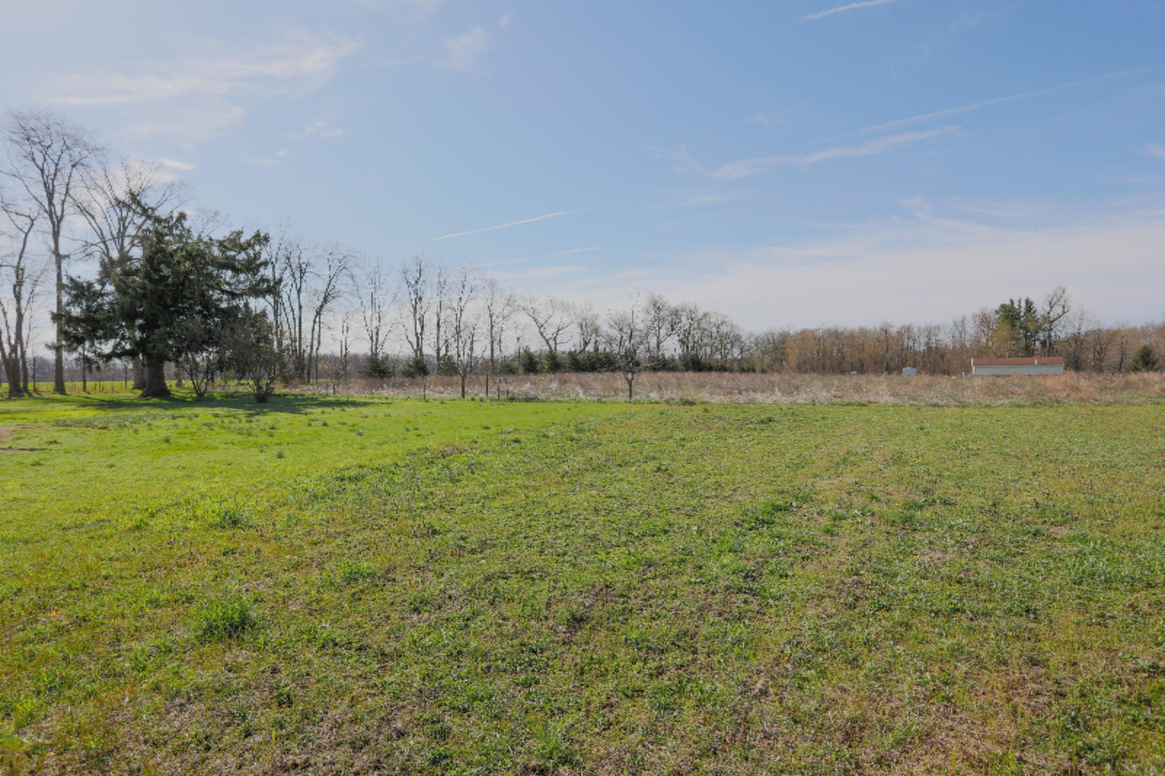 18525 Warner Road Decatur, MI 49045 - Photo 22 of 31 18525 Warner-122