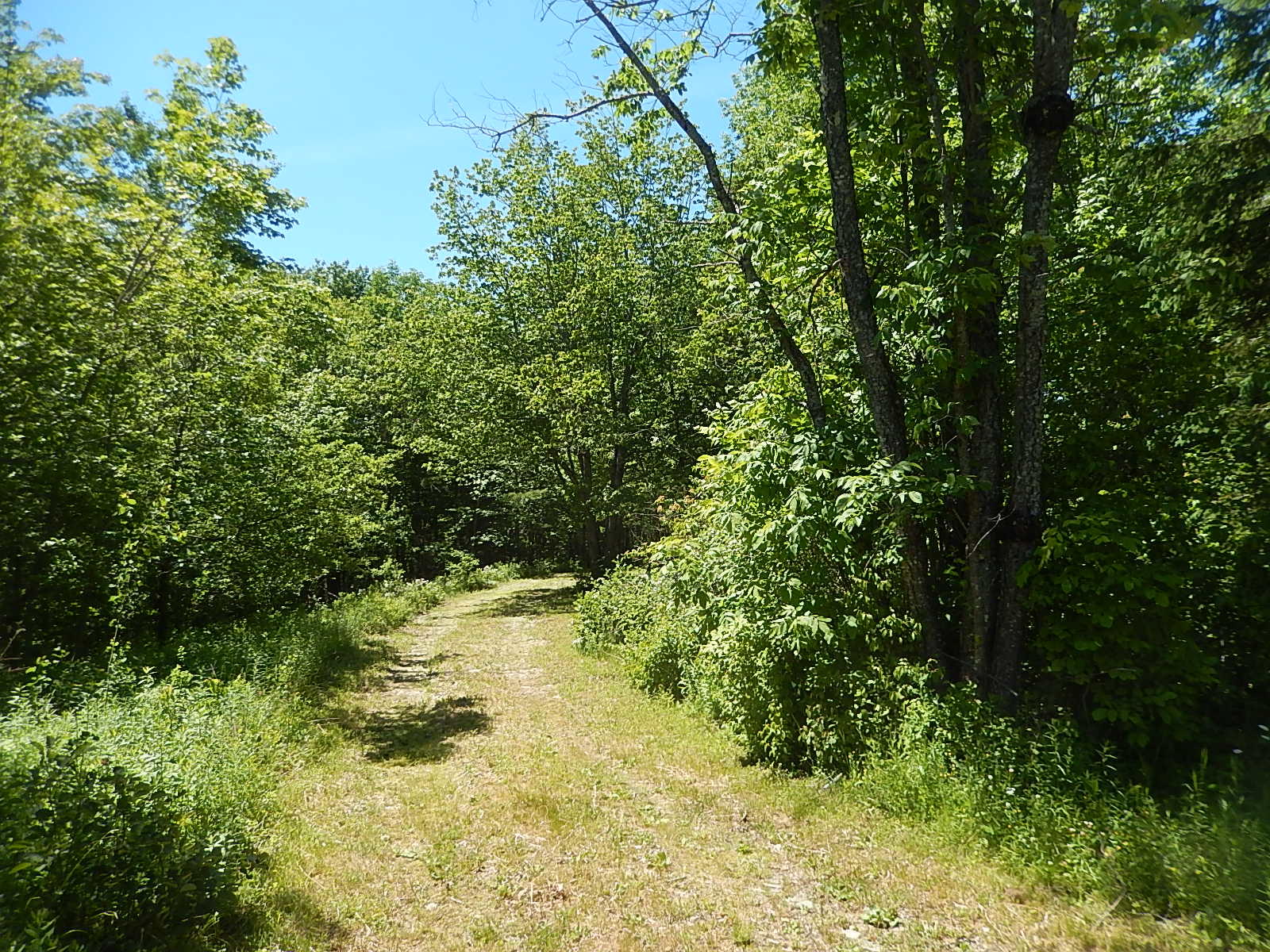 109 Belfast Augusta Road Searsmont, ME 04973 - Photo 18 of 20 DSCN9845