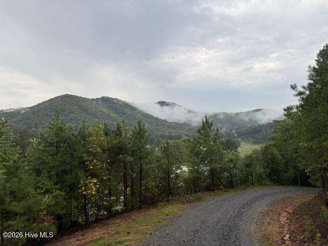 Lot 5 Downings Creek Road Hayesville, NC 28904 - Photo 4 of 11