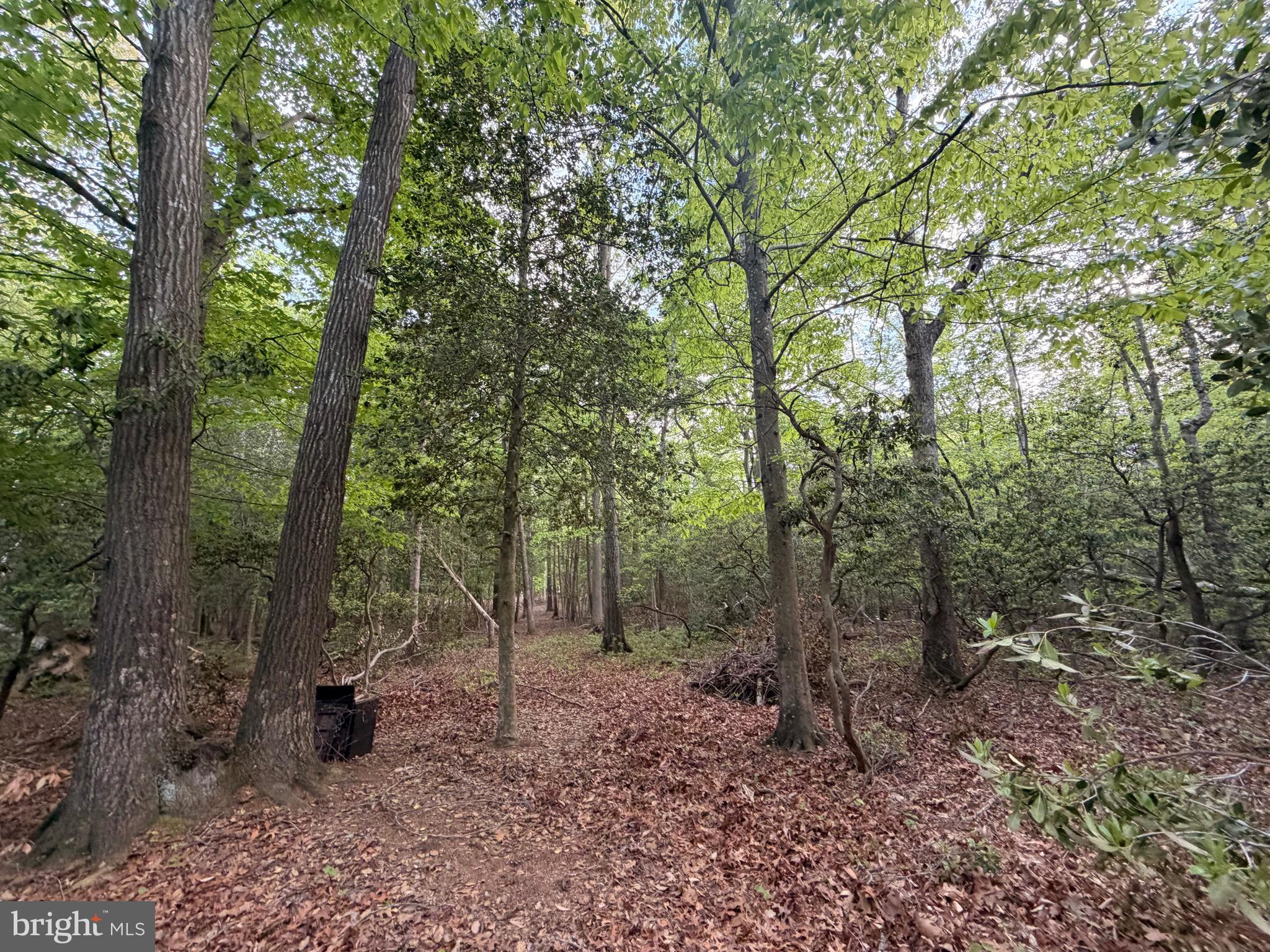 Parcels #82-96 Parcels Road Goldsboro, MD 21636 - Photo 2 of 9