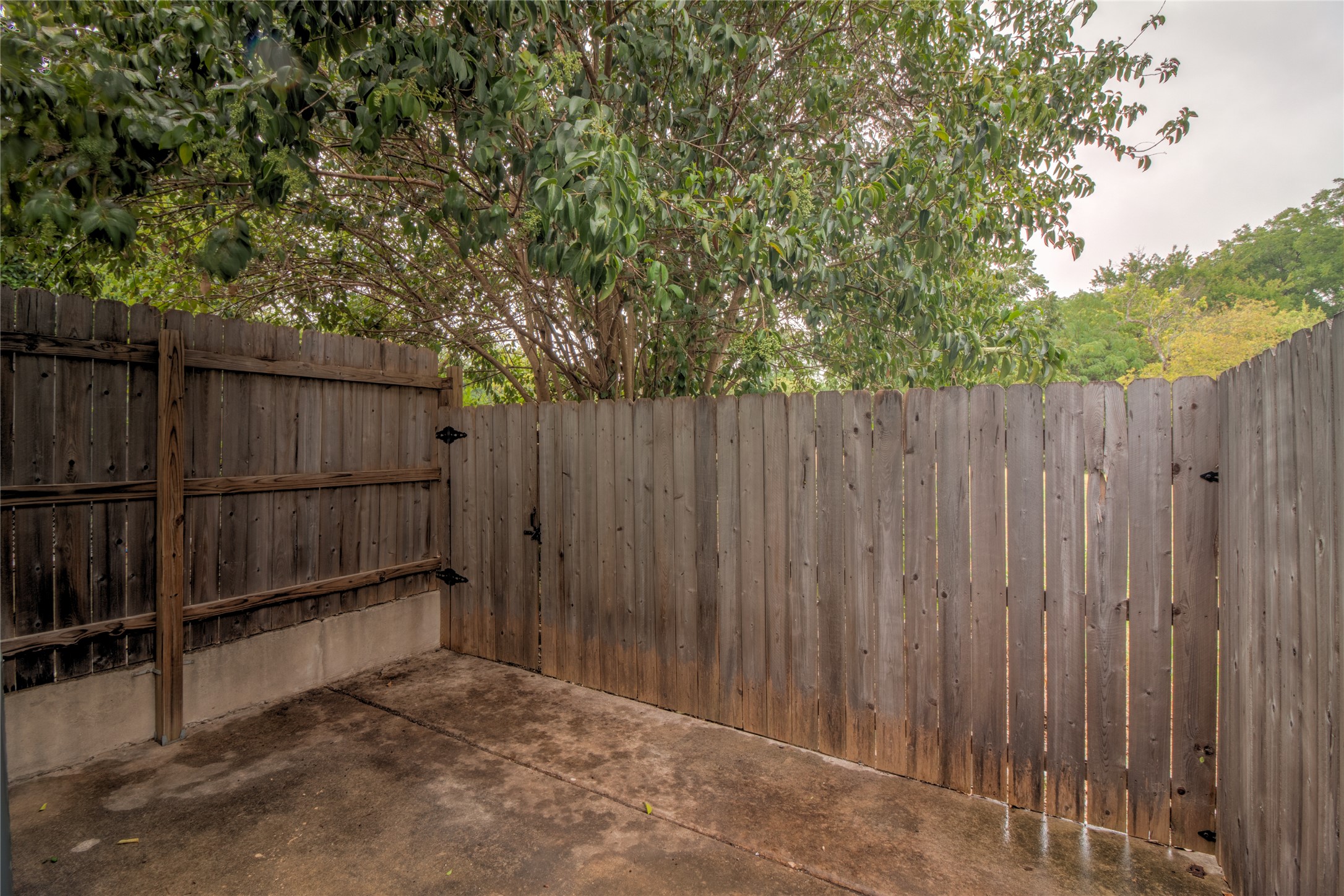 202 South College Street, Unit 9 Georgetown, TX 78626 - Photo 22 of 22 a view of backyard with wooden fence and trees