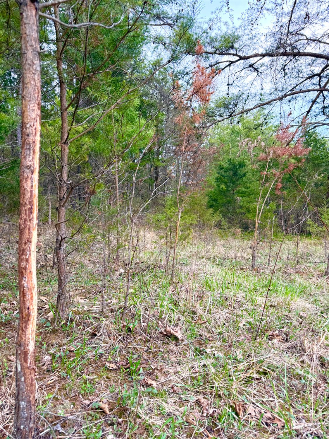 1600 Magee Jones Road Peebles, OH 45660 - Photo 70 of 91
