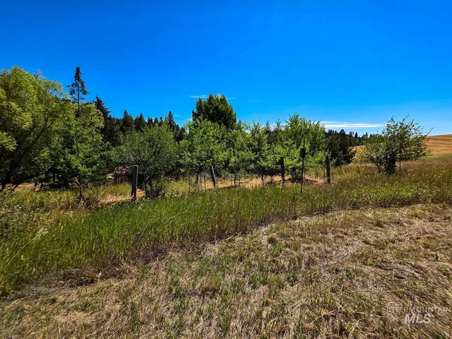 $455,000 | 1031 Spring Valley Road, Troy, ID 83871