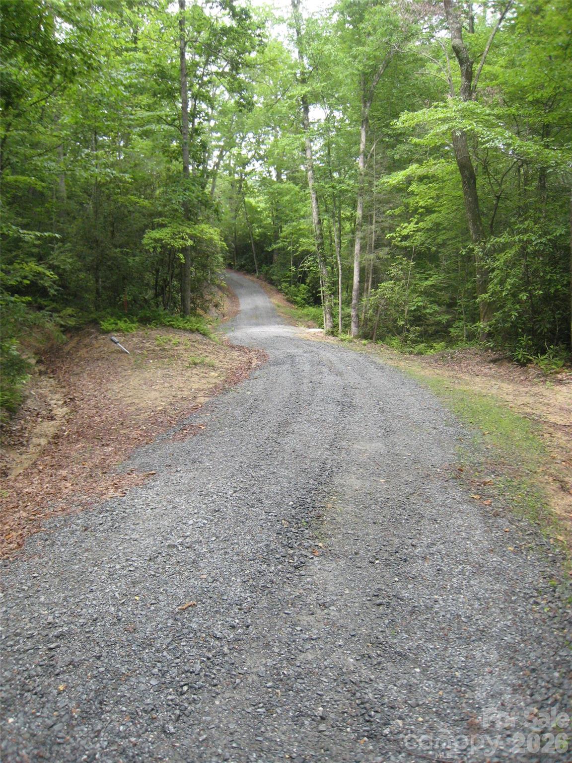 313 Line Runner Ridge Road Brevard, NC 28712 - Photo 13 of 33
